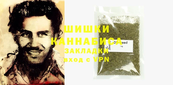 крисы Мегион