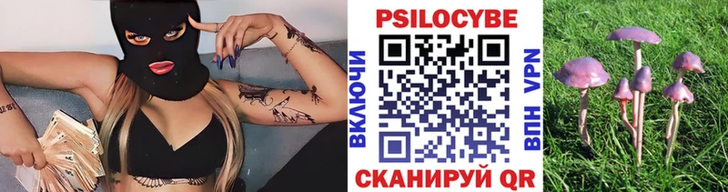 Псилоцибиновые грибы MAGIC MUSHROOMS  Новомосковск 